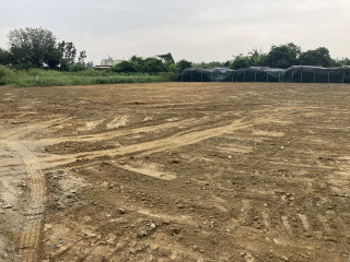 黃花土開心農場