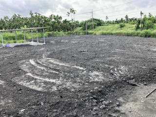 種植黑沙土