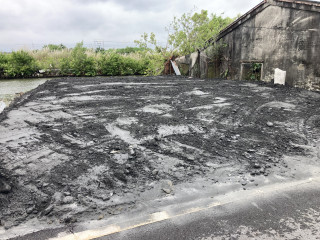 種植黑沙土